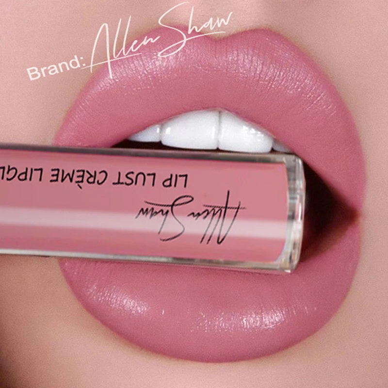 

Long Lasting Waterproof Liquid Lip Lust Cream Lip Gloss Matte Lipstick Brand Cosmetics Nude Pigment rouge a levres liquide mat