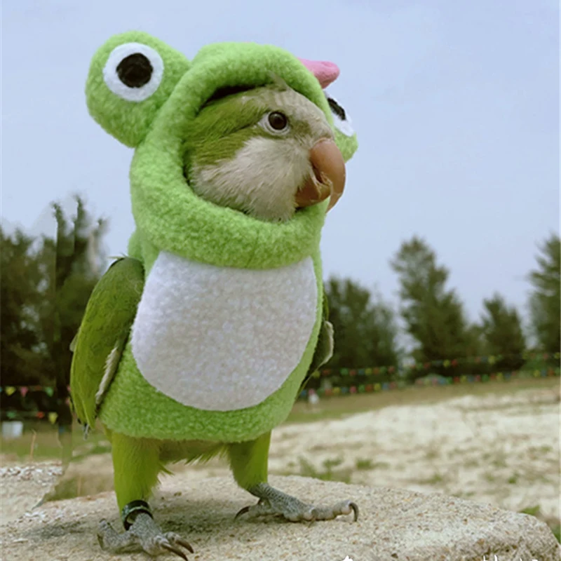 Одежда с птицами Pet Parrot пеленки салфетки ручной работы штаны с птицами милый Летающий костюм для Cockatiel Sun Parakeet монах попугай мягкая ткань