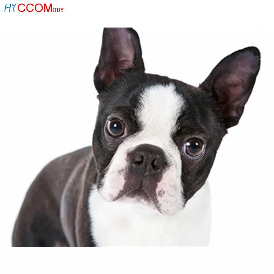 Полный дрель Diy Собака Картина с бриллиантами мультфильм Бостон терьер вышивка