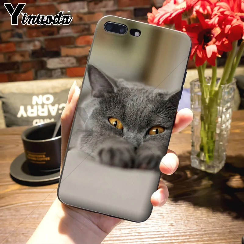 Чехол Yinuoda для телефона из мягкого ТПУ с изображением милых английских коротких