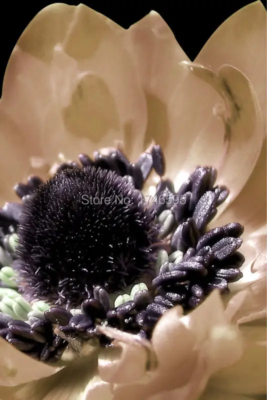 Большие 3 штуки домашний декор Настенная картина для гостиной спальни Настенный