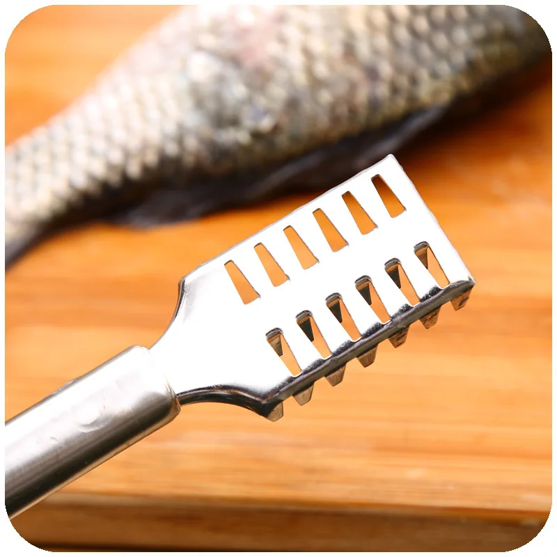 1 шт. пинцет для чистки рыбы инструмент кухни шт.|tweezers for fish|fishing removerfish scaler |