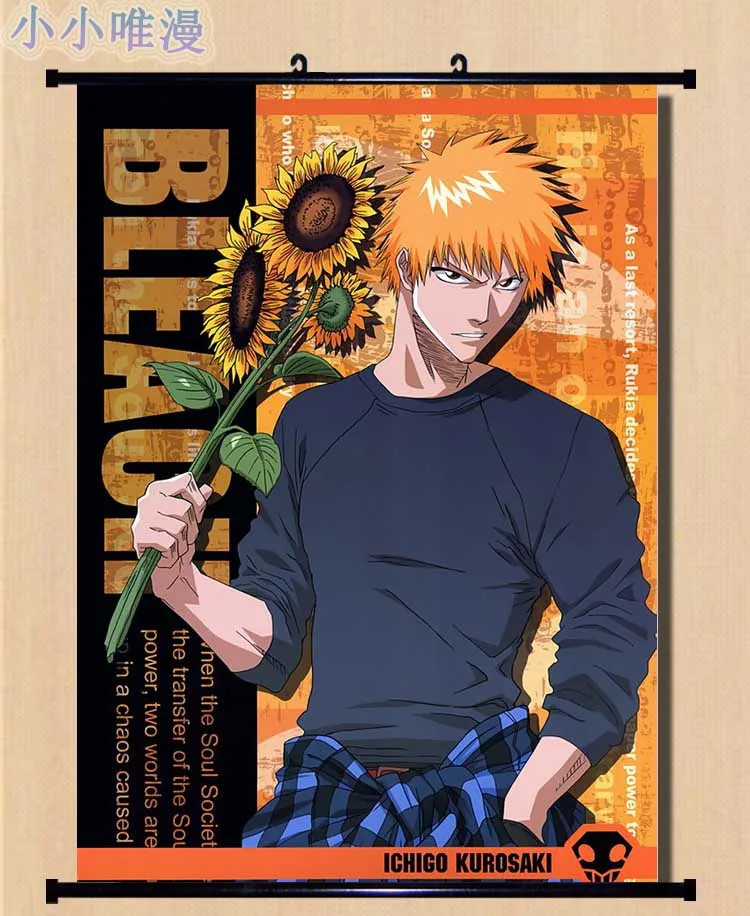 Декоративная картина из японского аниме отбеливаемые персонажи Kurosaki Ichigo Kuchiki