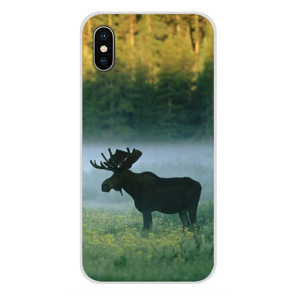 Животное Аляска Булл Moose аксессуары чехол для телефона Чехлы Apple iPhone X XR XS MAX 4 4S 5 5S 5C