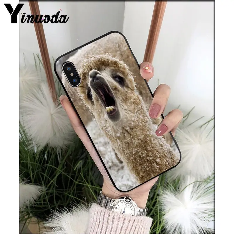 Yinuoda лама Alpacas животное умный чехол черный мягкий чехол для телефона для iPhone X XS MAX 6 6S 7 7plus 8 8Plus 5 5S XR