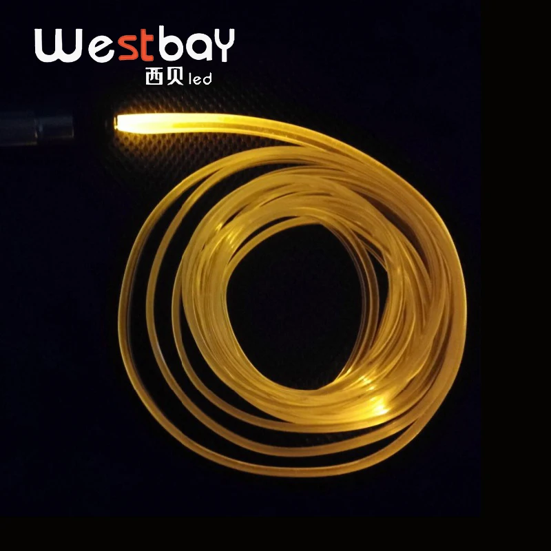Светильник Westbay светодиодный DC 12 В|light engine|optic fiber lightsled optical light |