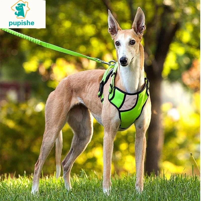 

Светоотражающая шлейка PUPISHE для больших собак, прочная шлейка для тренировок для домашних животных, жилетка, яркая деталь