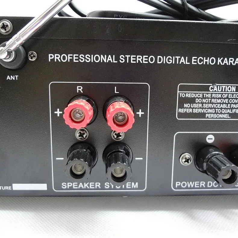 10-сегметный QE эквалайзер, обеспечивающий SUB SD карты Bluetooth 12V 220V 300W+ 300W 2,0 высокой мощности сабвуфер 2,0 Цифровой караоке аудио усилитель