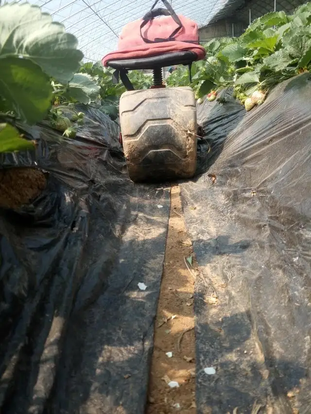 Стул для выращивания растений из твердого железа удобный стул полиуретана с