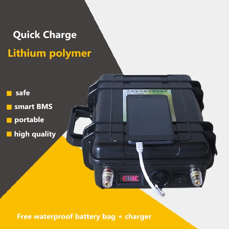 

High Drain 12V 60AH-200AH lithium polymer lipo USB Batteries For inverter boat motor/solar energy panel Emergency Power source