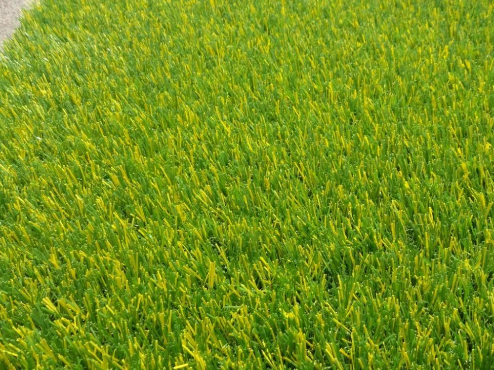 Низкое обслуживание свободный свет | Спорт и развлечения