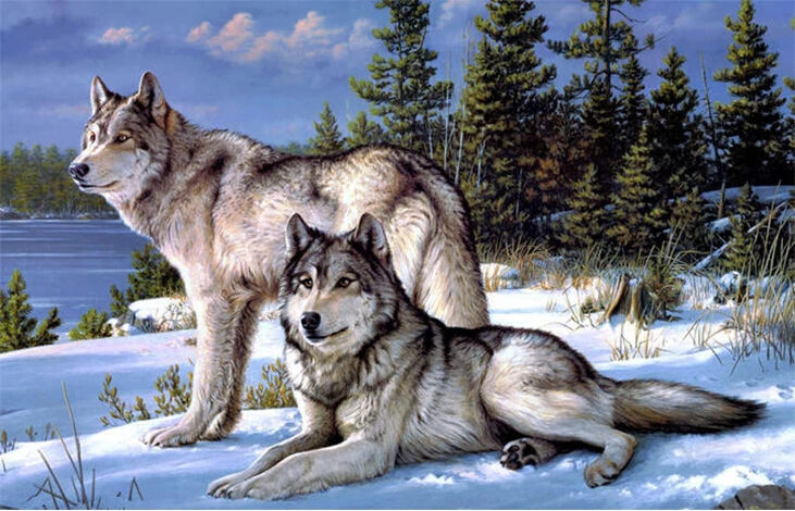 Набор для вышивки алмазными бусинами мозаика с мотивом снежного леса волка