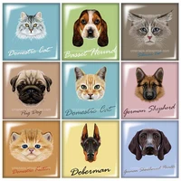 beauty cartoon animals dogs cats 12mm20mm25mm30mm square glass cabochon flat back diy jewelry findings components fb0276
