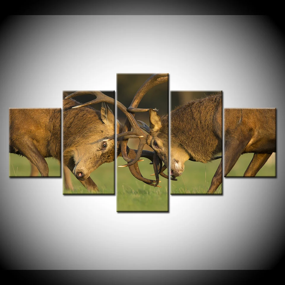 HD печатает картины на холсте домашний декор фотографии 5 шт. два оленя боремся