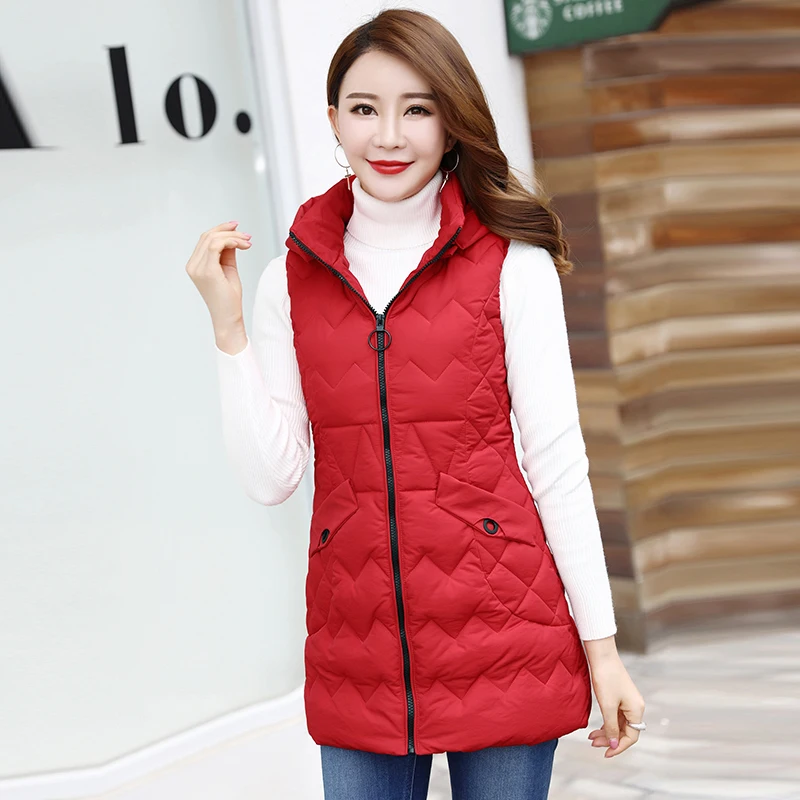 Осенне зимний женский жилет Brieuces новинка 2018 модный длинный дамский куртка