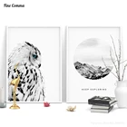 Постер на стену Сова