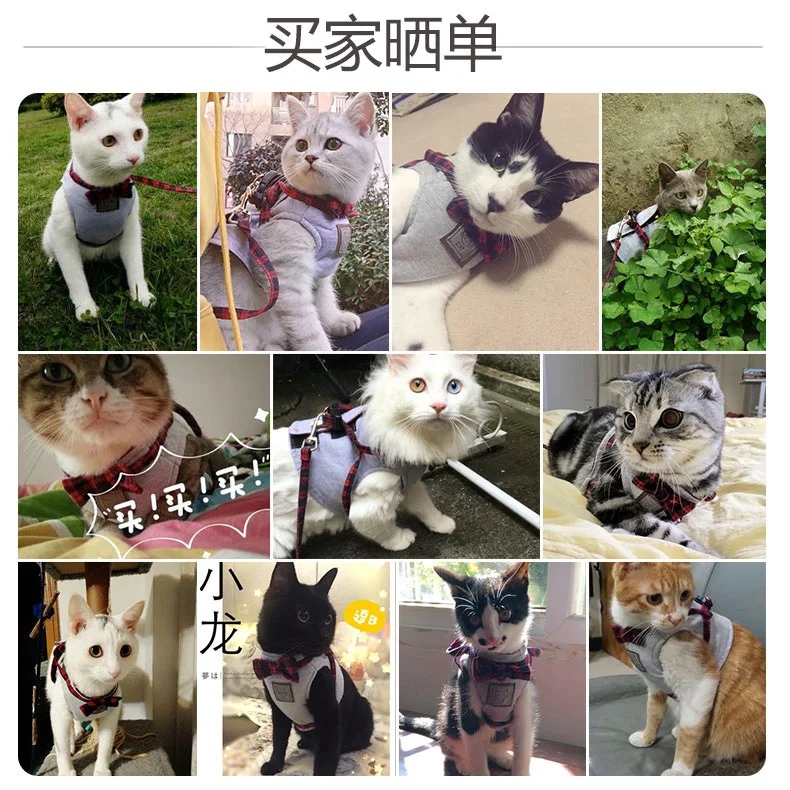 4 цвета Pet Cat шлейка с поводком веревка куртка бантом кошка Жгут прогулочный