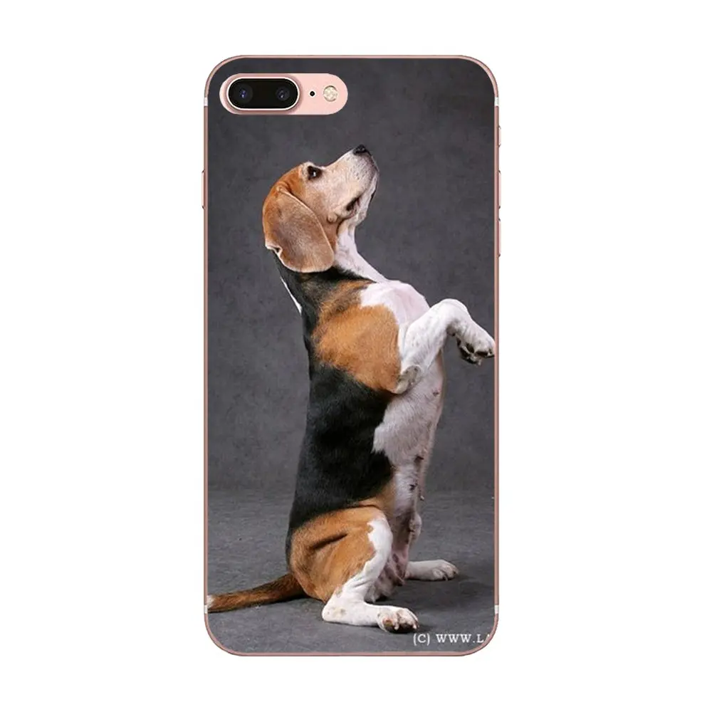 Мягкие чехлы с надписью I Love My Beagle Dogs для Apple iPhone 4 4S 5 5C 5S SE 6 6S 7 8 Plus X XS Max XR | Мобильные