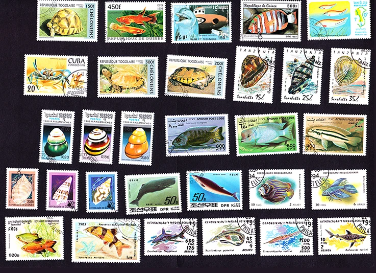 Продажа 50 шт./лот морские животные все разные из многих стран не повторяют