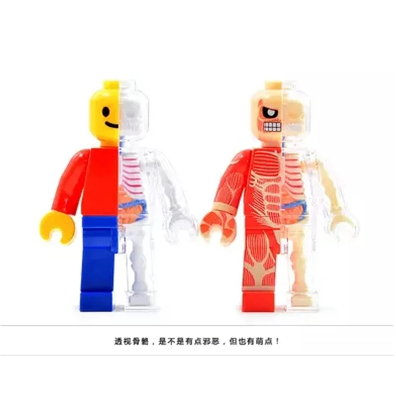 4D Fashion brick man Intelligence Assembling Toy toy Perspective Anatomy Model DIY Popular Science Appliances | Канцтовары для