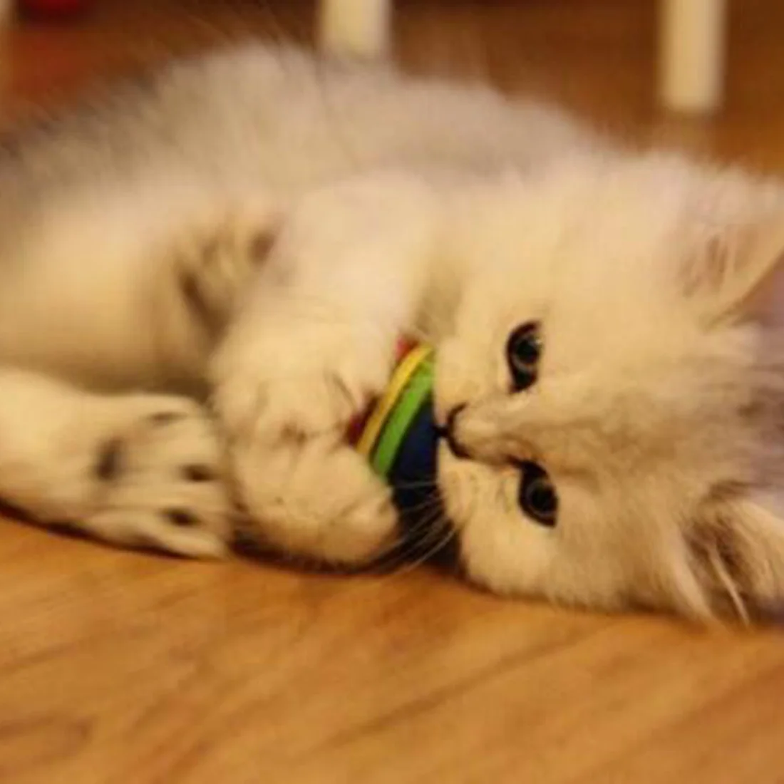 10 шт. Радужный игрушечный мяч маленькая собака кошка животные игрушки Eva товары