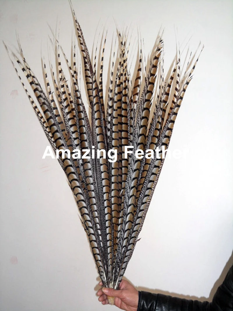 

EMS Free Shipping 90-100cm 35-40 inches 50pcs Natural Color ringneck Lady Amherst pheasant tails pheasant feather