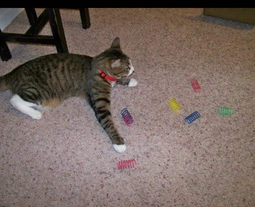 Usd0.19/шт. Широкие прочные тяжелые пластиковые цветные пружины для домашних