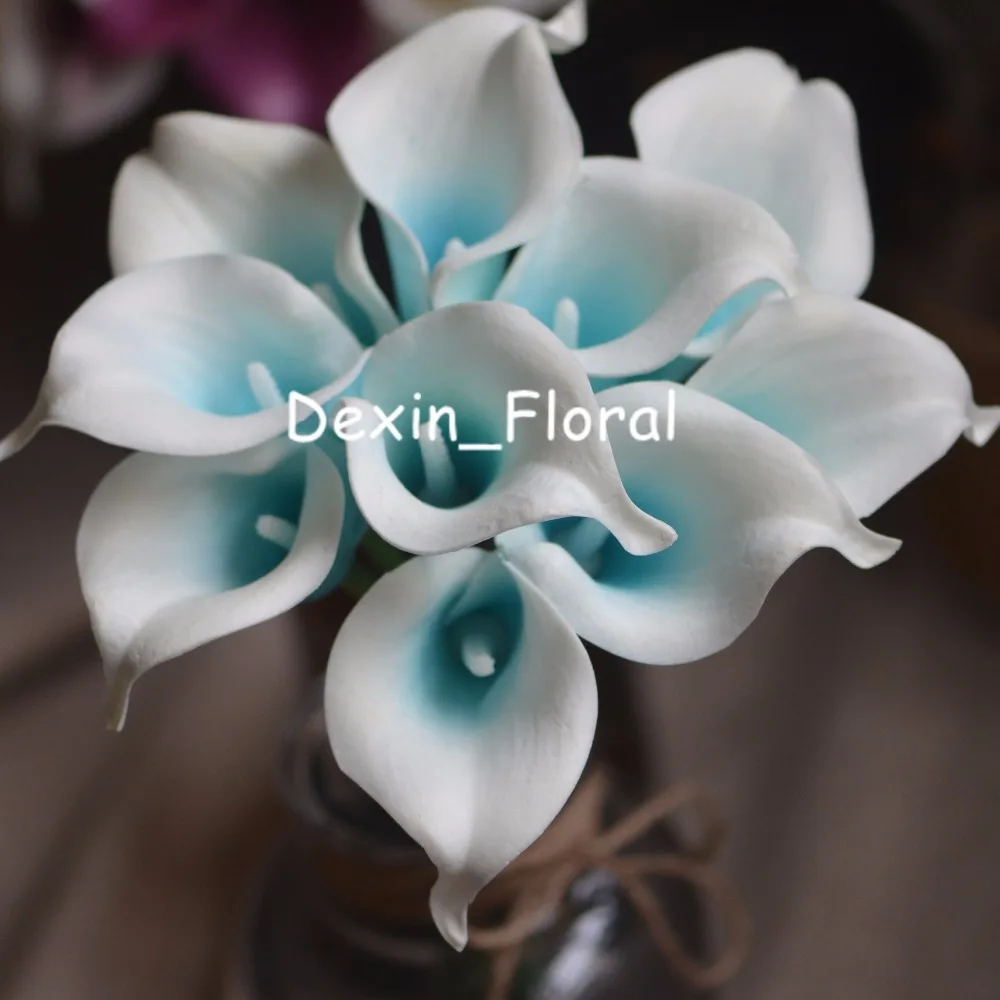 Бирюзовые Пикассо Калла Лилия Настоящее прикосновение лилии для свадебных