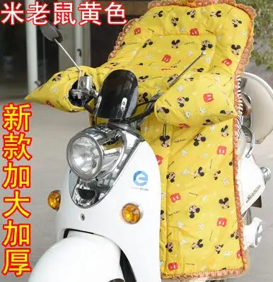 Электрический лобовое стекло зимняя одежда двойной водонепроницаемый