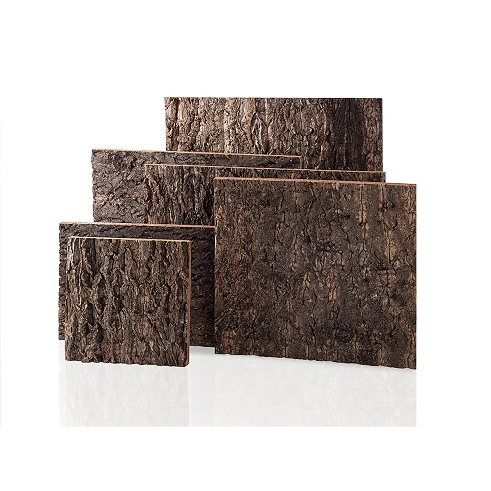 Natural Tree Bark Background For Gecko Lizard Snake Tortoise Reptiles Tarantula Frog Vivarium Terrarium Decoration Landscaping|Декор места