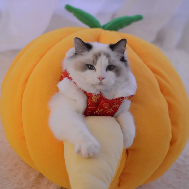 Забавный фруктовый дизайн, домик для кошки, зимний теплый коврик для кошки, Тыквенное гнездо, милый фруктовый модельный домик для собаки, маленькая собачка Тедди, собака B