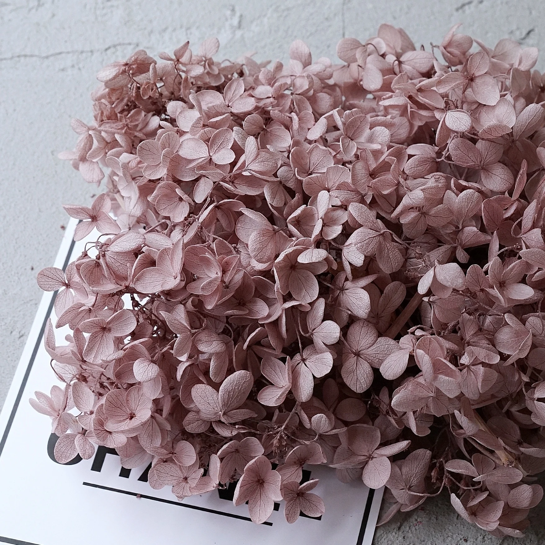 Lilac Гортензия оптом вечная жизнь цветок Diy Материал посылка стеклянная крышка сделать лепесток головной убор свечи делая поставки velas de cera - Цвет: Lilac