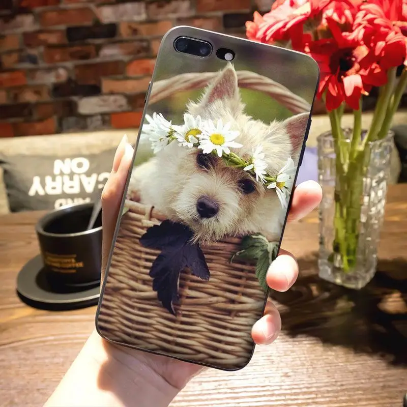 Мягкий ТПУ чехол для телефона MaiYaCa West Highland White Terrier dog с рисунком iPhone 8 7 6 6S Plus X 5S 12pro SE