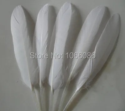 

Hot Sale! 1000pcs/lot 10-12cm White Dyed Loose Goose Feathers DIY duck feather Free shipping
