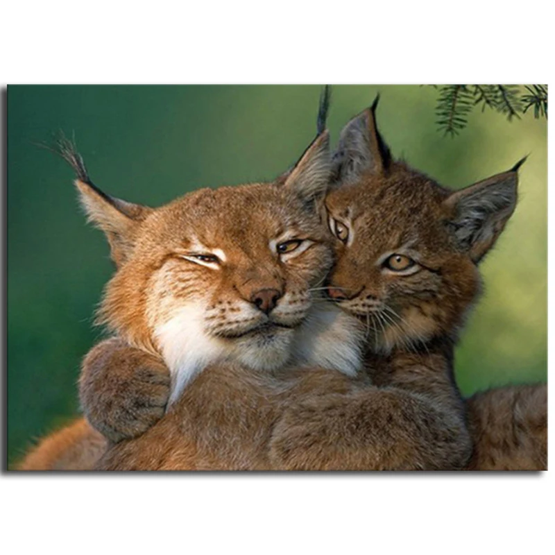 Full Round Diamond Embroidery Cross Stitch Lynx Square Painting Cat DIY 5D Mosaic Animal | Дом и сад