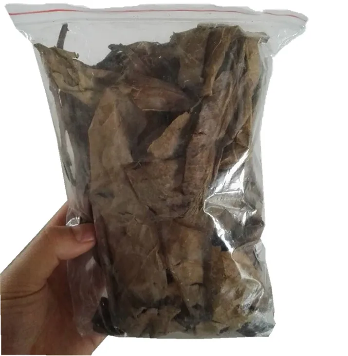 Фильтр для аквариума с листьями катапафа 25/50/100 г|terminalia catappa|catappa leavesfish tank filter |