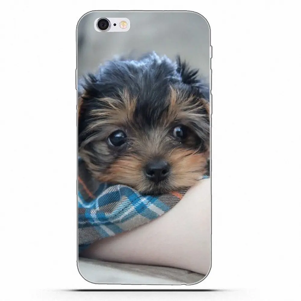 Чехлы для HTC Desire 530 626 628 630 816 820 One A9 M7 M8 M9 M10 E9 Plus U11 Moto G G2 G3 щенок йоркширского терьера