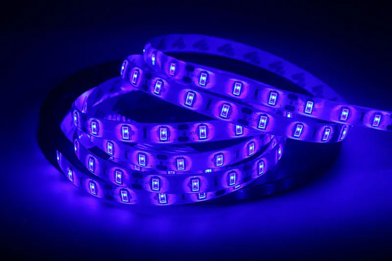 

Гибкая светодиодная лента ASMTLED SMD 5630 12В