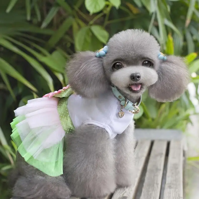 Любимая одежда собака платье для собак весной и летом лепестки торговли бренд