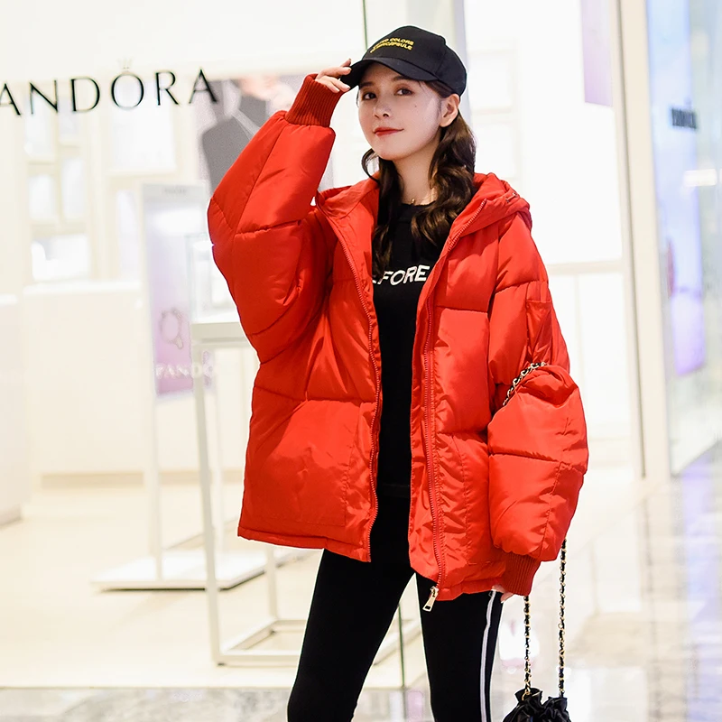 Зимние Для женщин вышивка парки Oversize верхняя одежда вниз пальто хлопка женский