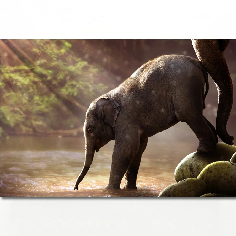 

Настенная картина с изображением слона для питьевой воды, постеры с изображением животных, художественные картины на холсте для декора гос...