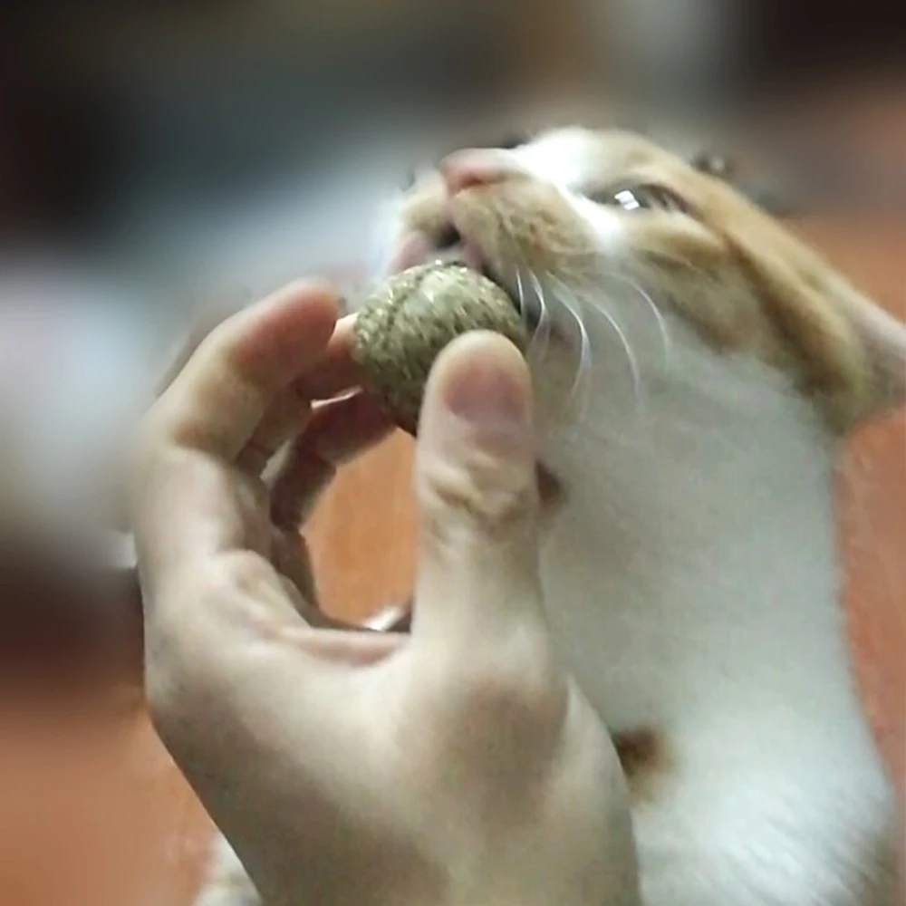 Игрушки для кошек натуральные игрушки для кошек Catnip для кошек здоровое для кошек Угощение для чистки зубов товары для кошек Игрушка продукция для домашних животных