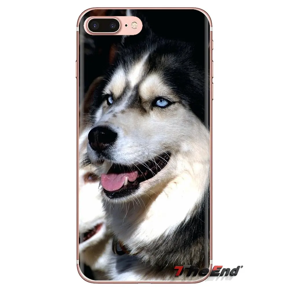 Мягкие чехлы для собак Alaskan Malamute Siberian husky Xiaomi Mi3 Samsung A10 A30 A40 A50 A60 A70 Galaxy S2 Note 2 Grand Core