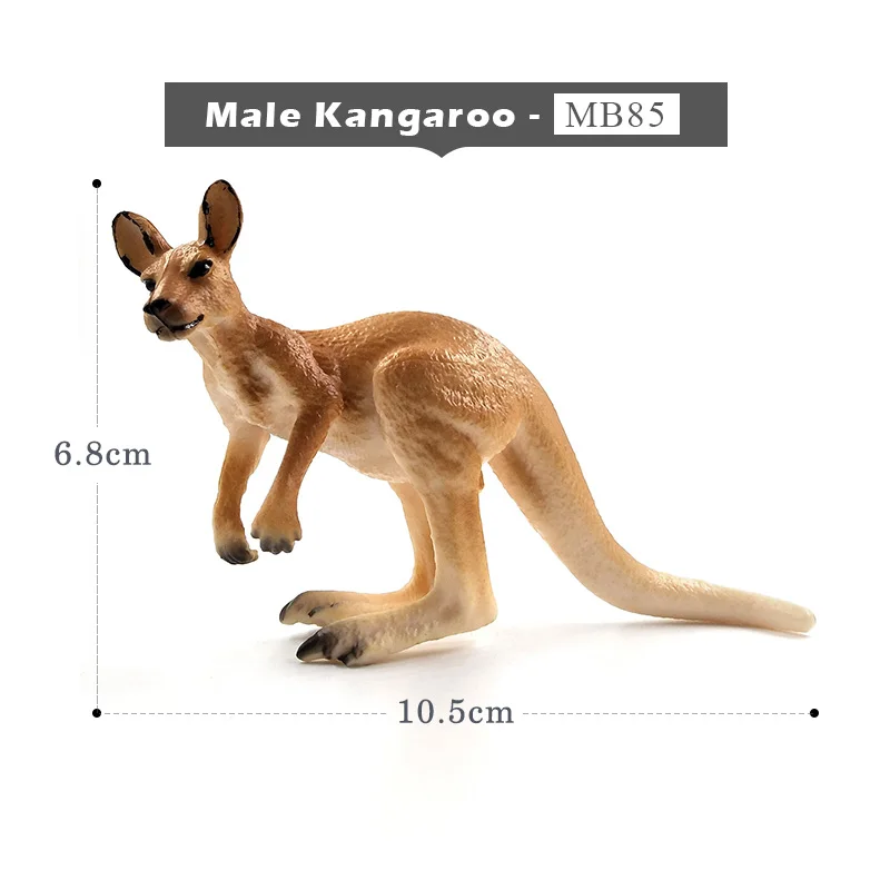 Male Kangaroo Страус Сурикат Окапи Лебедь волк крокодил платипус олень модель животного свинья фигурка домашний декор Фея Украшения Сада аксессуары - Цвет: Male Kangaroo