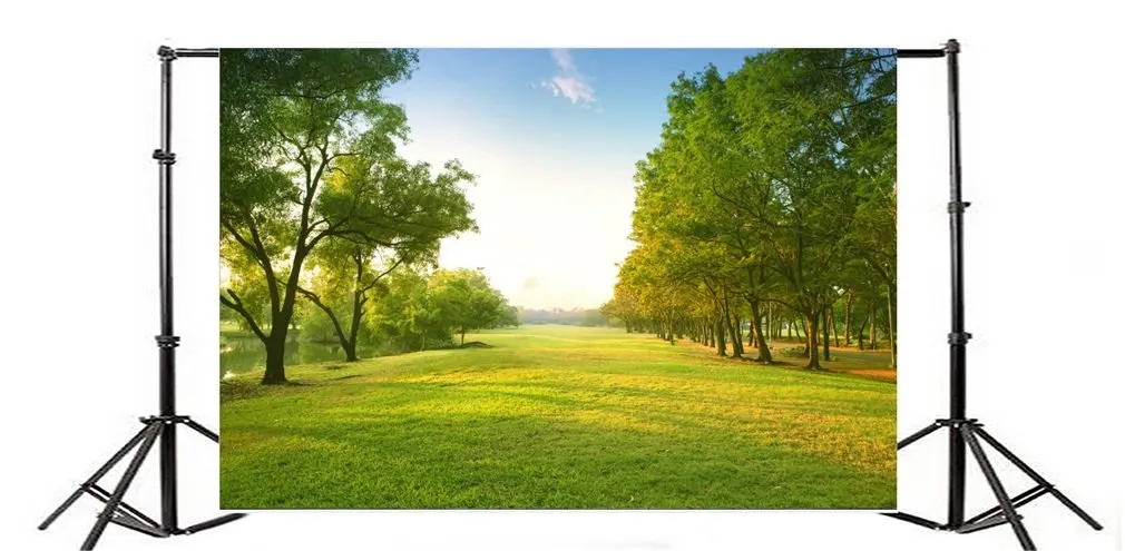 

Photography Backdrop Nature Landscape Trees Grass Field Blue Sky White Cloud Sunshine Travel