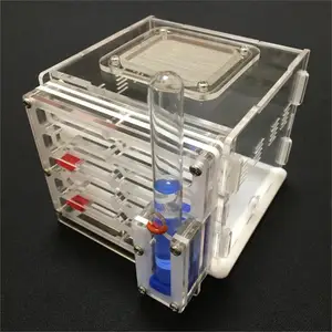 Влага для домашних животных сделай сам с зоной кормления Муравьиное гнездо, муравьиная ферма из акрила, насекомое муравьиные гнезда вилла Улучшенная мания для Домашние муравьи