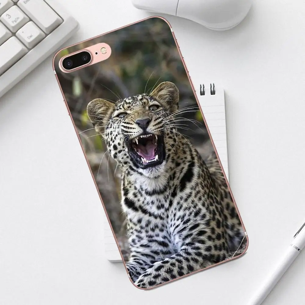 Qdowpz TPU Модный чехол для Galaxy Alpha Core Prime Note 4 5 8 S3 S4 S5 S6 S7 S8 S9 mini edge Plus животное