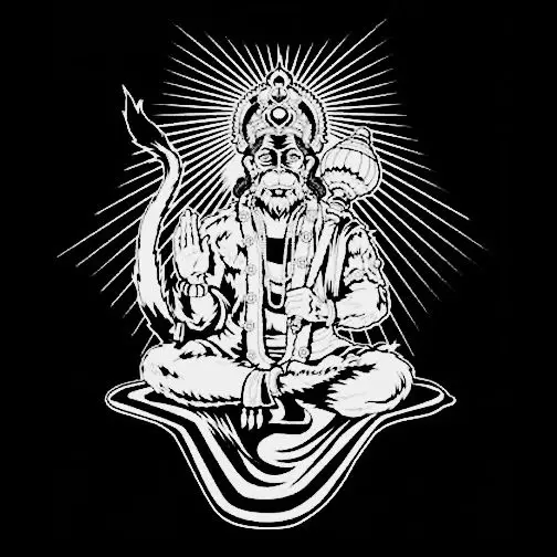 Лидер продаж новинка 2019 летняя Модная брендовая новая рубашка HANUMAN с