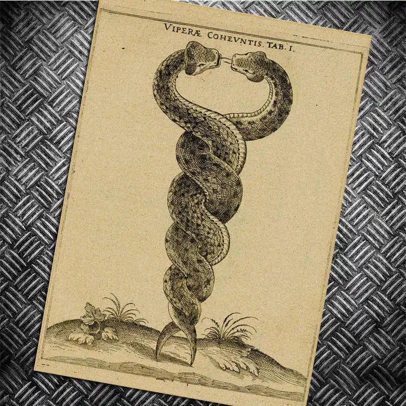 Двойной змея Винтаж Ностальгический крафт Бумага плакат общежитии стены