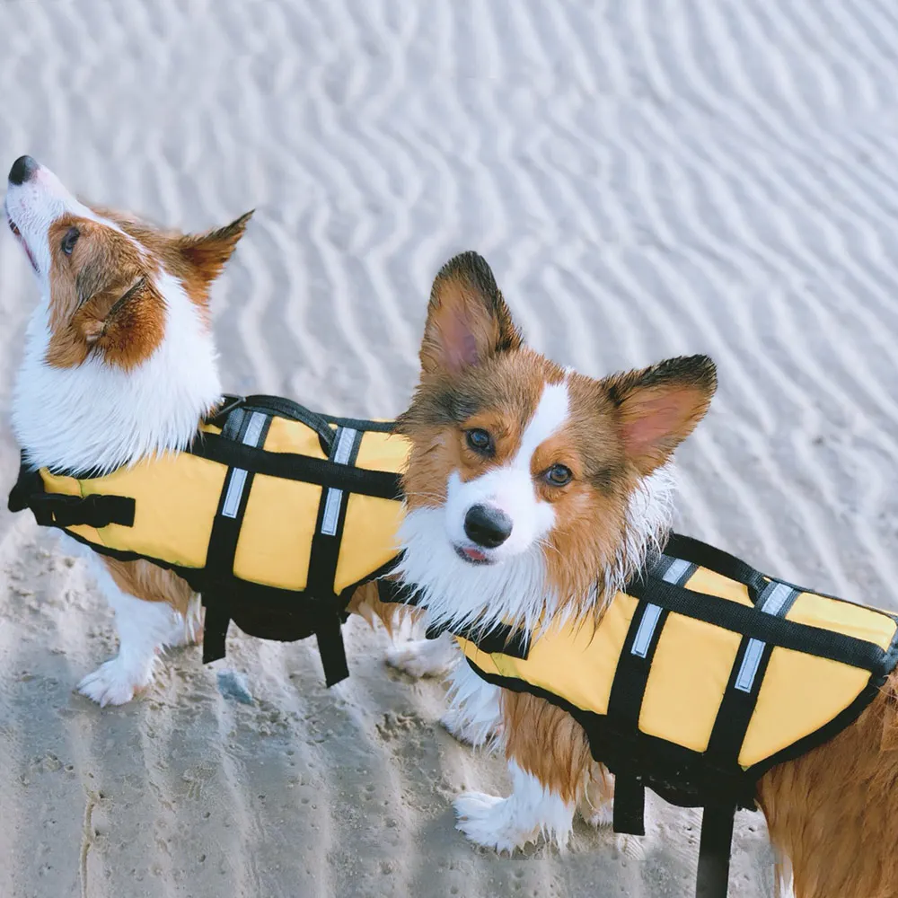 HOOPET Small Dog Pet Life Jacket Safety Clothes Surfing Swimming Vest Summer Puppy Swimwear Beach Vacation Bull Pug Yorkshire|pet life jacket|dog